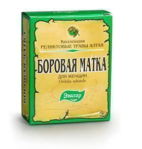Боровая матка 30г пачка - фото