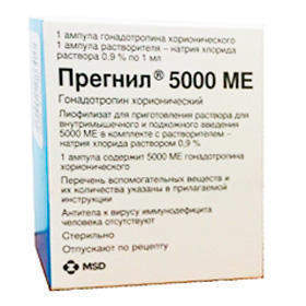 Прегнил 5000 МЕ порошок для раствора №1 - фото