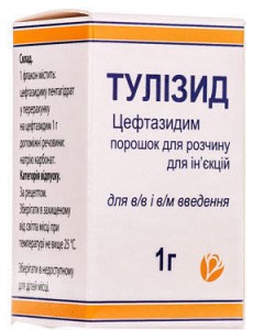 Тулизид 1 г флакон №1 - фото