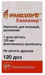 Фликсотид Эвохалер 125 мкг аэрозоль 120 доз - изображение Фликсотид Эвохалер 125 мкг аэрозоль 120 доз - фото